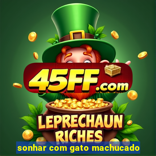 sonhar com gato machucado